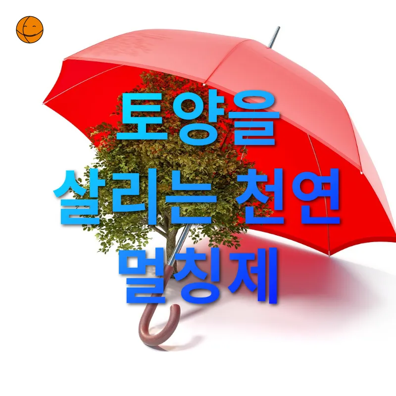 친환경 정원 가꾸기_1