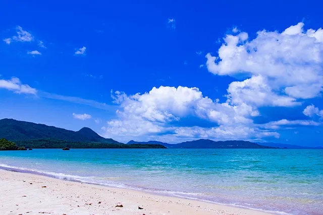 &lt;a href=&quot;https://pixabay.com/ko//?utm_source=link-attribution&utm_medium=referral&utm_campaign=image&utm_content=3421799&quot;&gt;Pixabay&lt;/a&gt;로부터 입수된 &lt;a href=&quot;https://pixabay.com/ko/users/seimori-studio-8969325/?utm_source=link-attribution&utm_medium=referral&utm_campaign=image&utm_content=3421799&quot;&gt;SEIMORI&lt;/a&gt;님의 이미지 입니다.