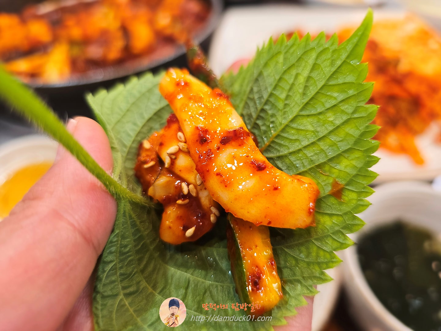 갑오징어 초무침