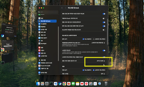 응용 프로그램의 윈도 보기.