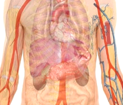 담도암 이란, 증상과 생존율은?