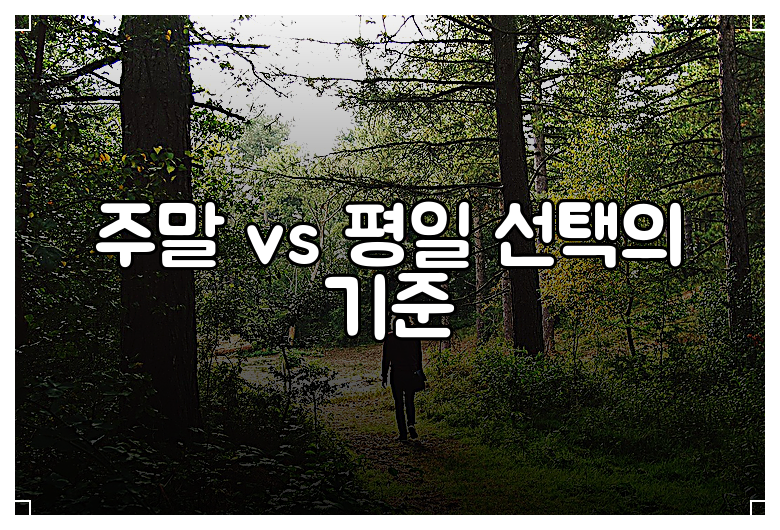 주말 vs 평일 선택의 기준