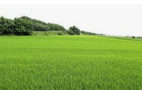 농지취득자격증명