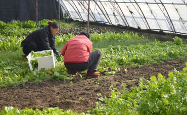 농민수당, 농어민수당, 농민기본소득, 농민공익수당 신청자격, 기간, 방법
