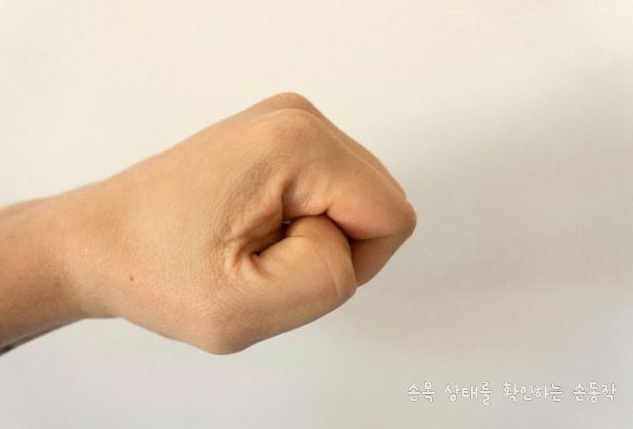 손목 상태를 확인하는 손동작