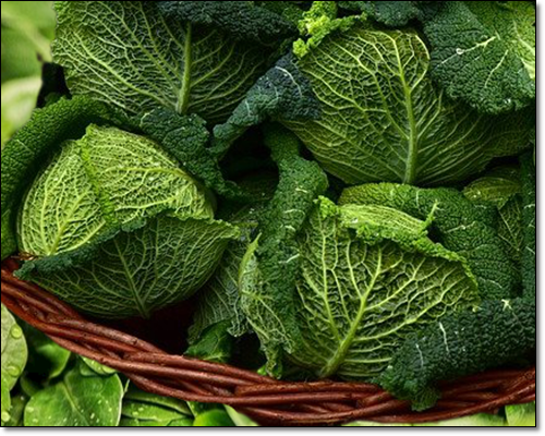 비타민 C 많은 식품