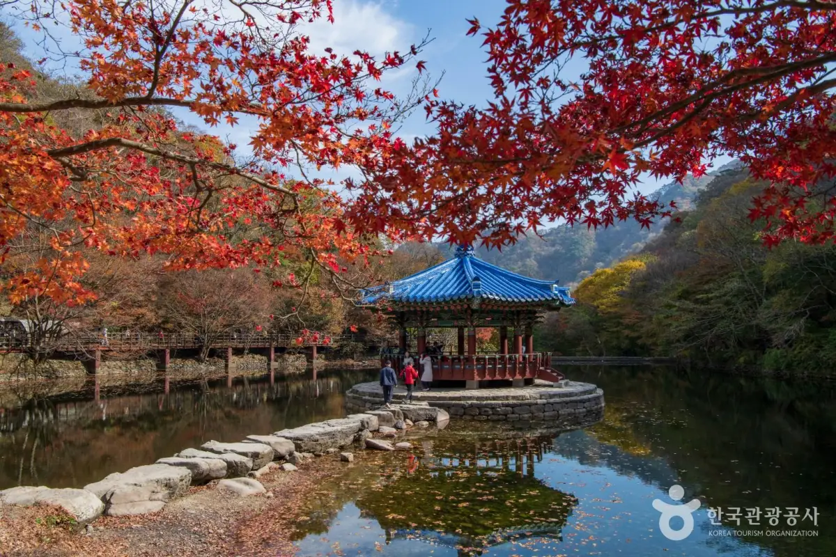 내장산 우화정
