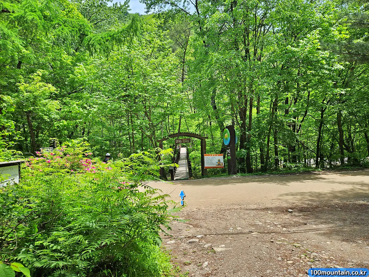 선재교