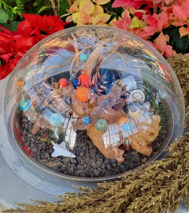 세종 국립 수목원