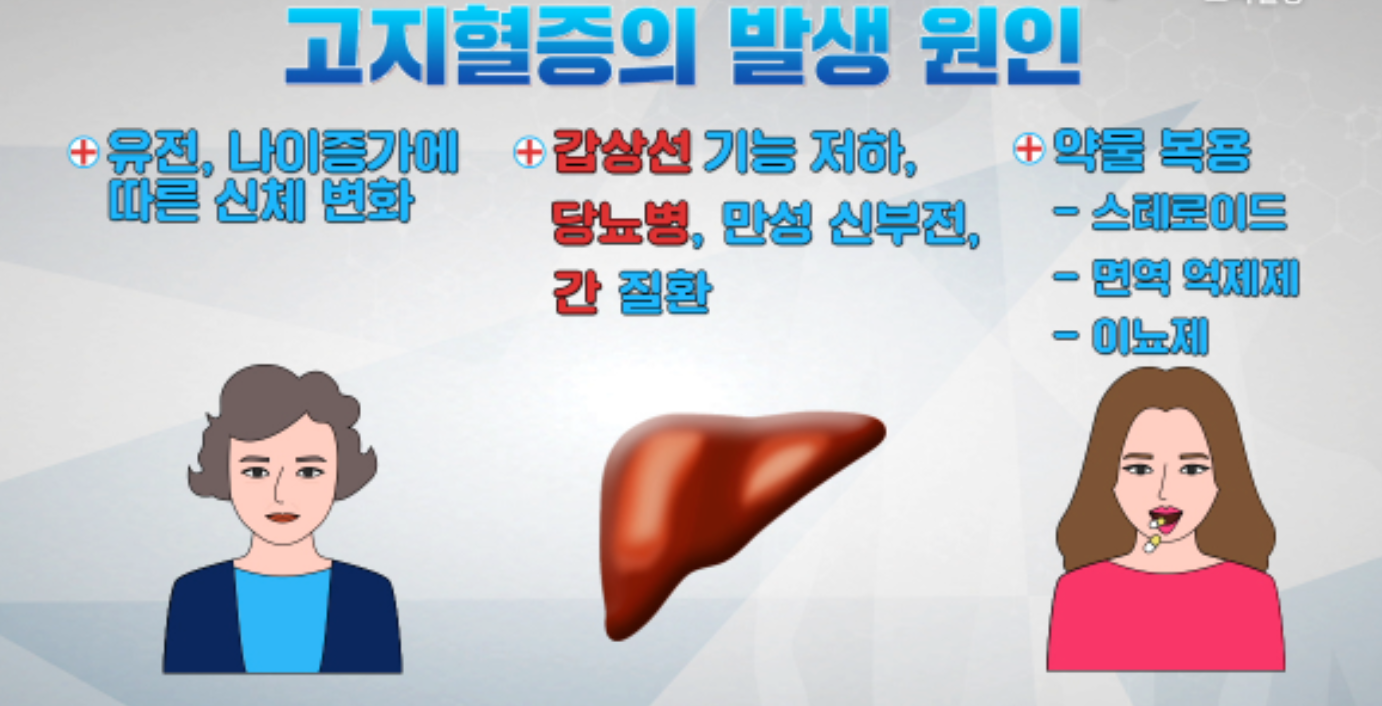 혈중 지방 수치 상승 관련 사진