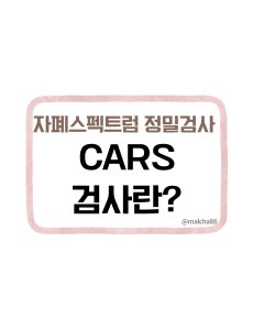 CARS검사란