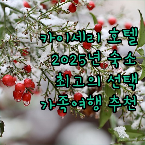 카이세리 호텔 완벽 분석 2025년 ..