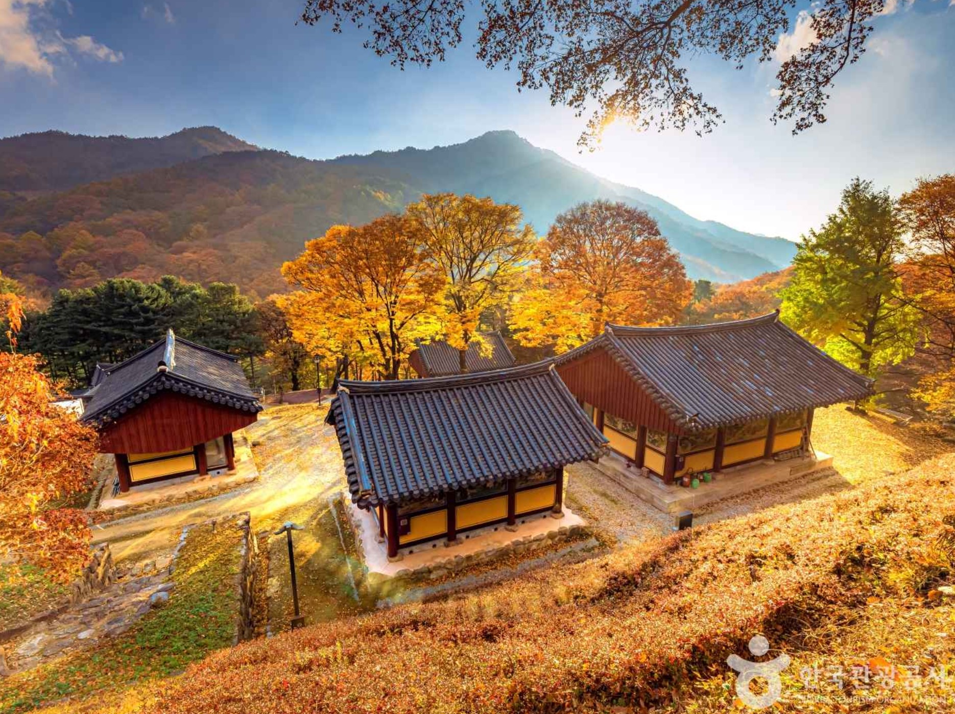 영주-가볼만한곳-비로사