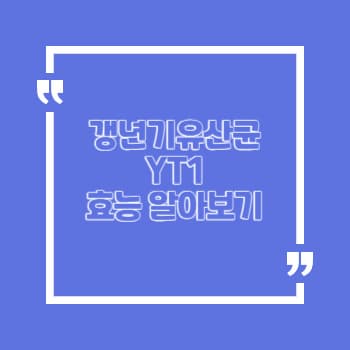 갱년기유산균 YT1 갱년기 건강 관리