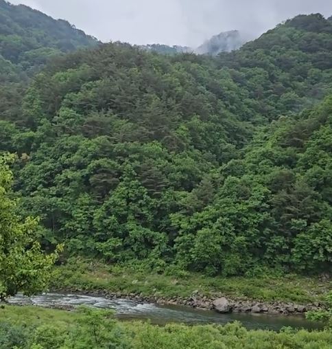내린천