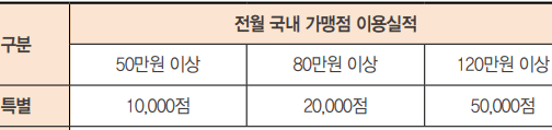 전월 실적별, 월 특별적립 한도 표