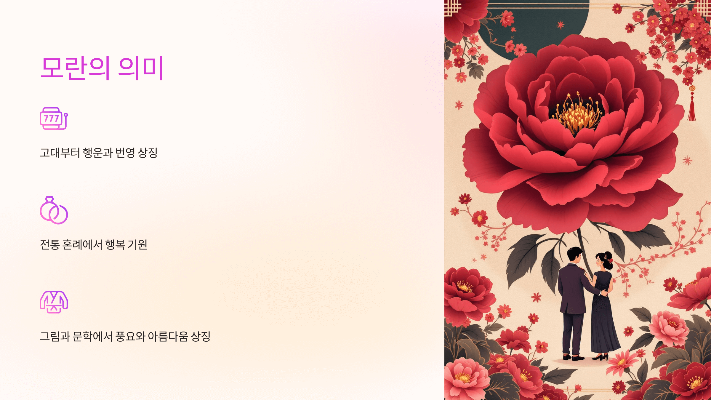 모란꽃 사진입니다.