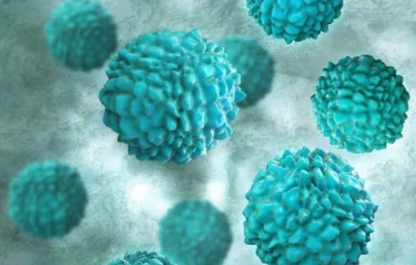 노로바이러스 감염 전파