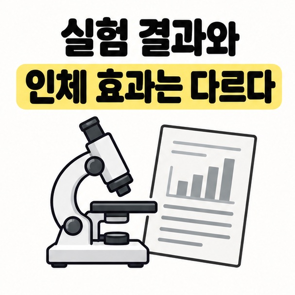 실험 결과와 인체 효과의 차이를 알리는 현미경과 연구 문서 그림
