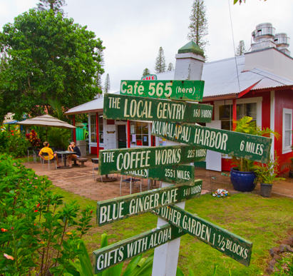 라나이 시티(Lanai City)