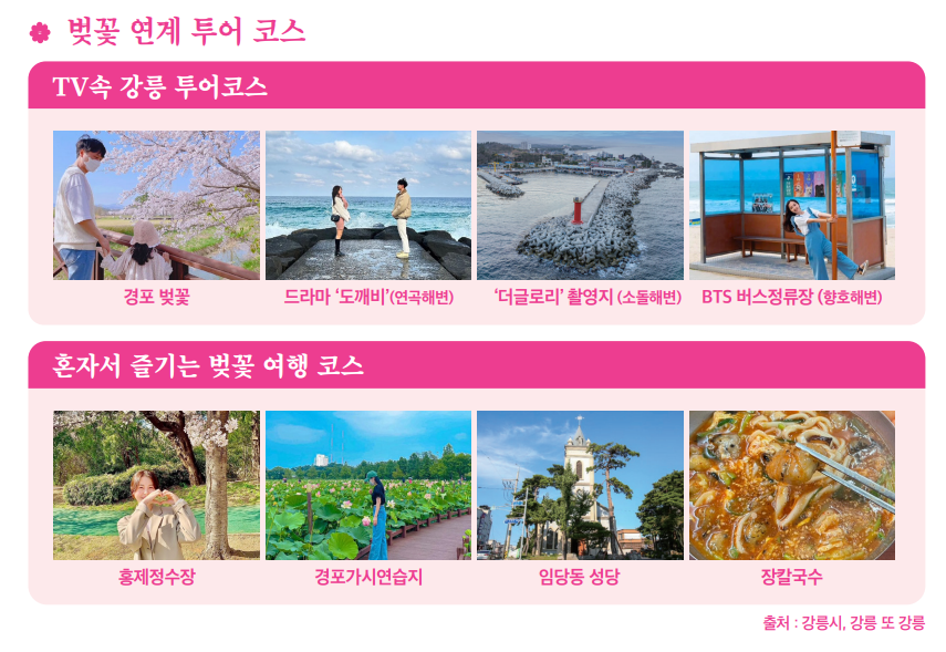 2023 강릉경포 벚꽃축제 리플릿