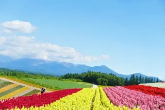 홋카이도 여름 여행코스 4박5일 일정과 맛집 정보 정리_15