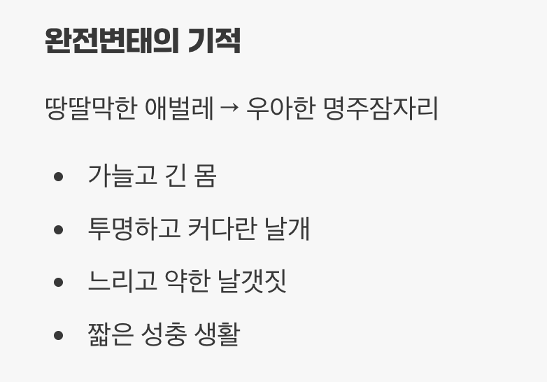 반전 매력, 우아한 날개를 펴다