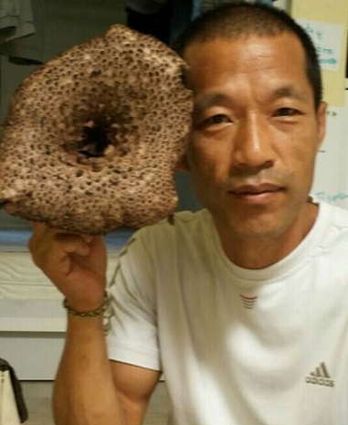 문경목청꿀-정상옥