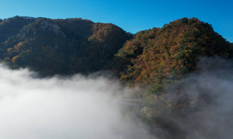 삼악산 케이블카