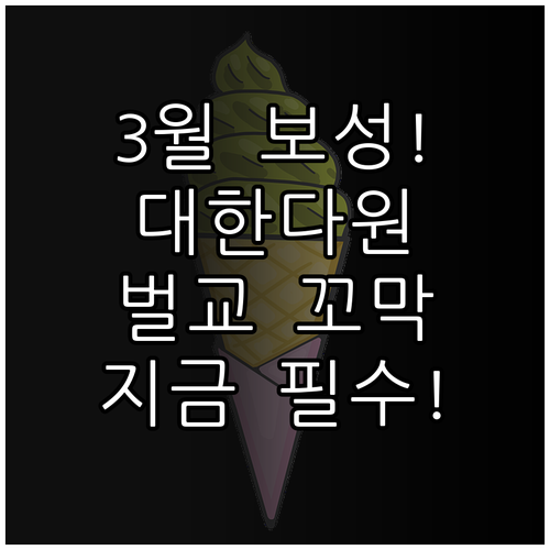 3월 전남 보성 가볼만한곳 대한다원 ..