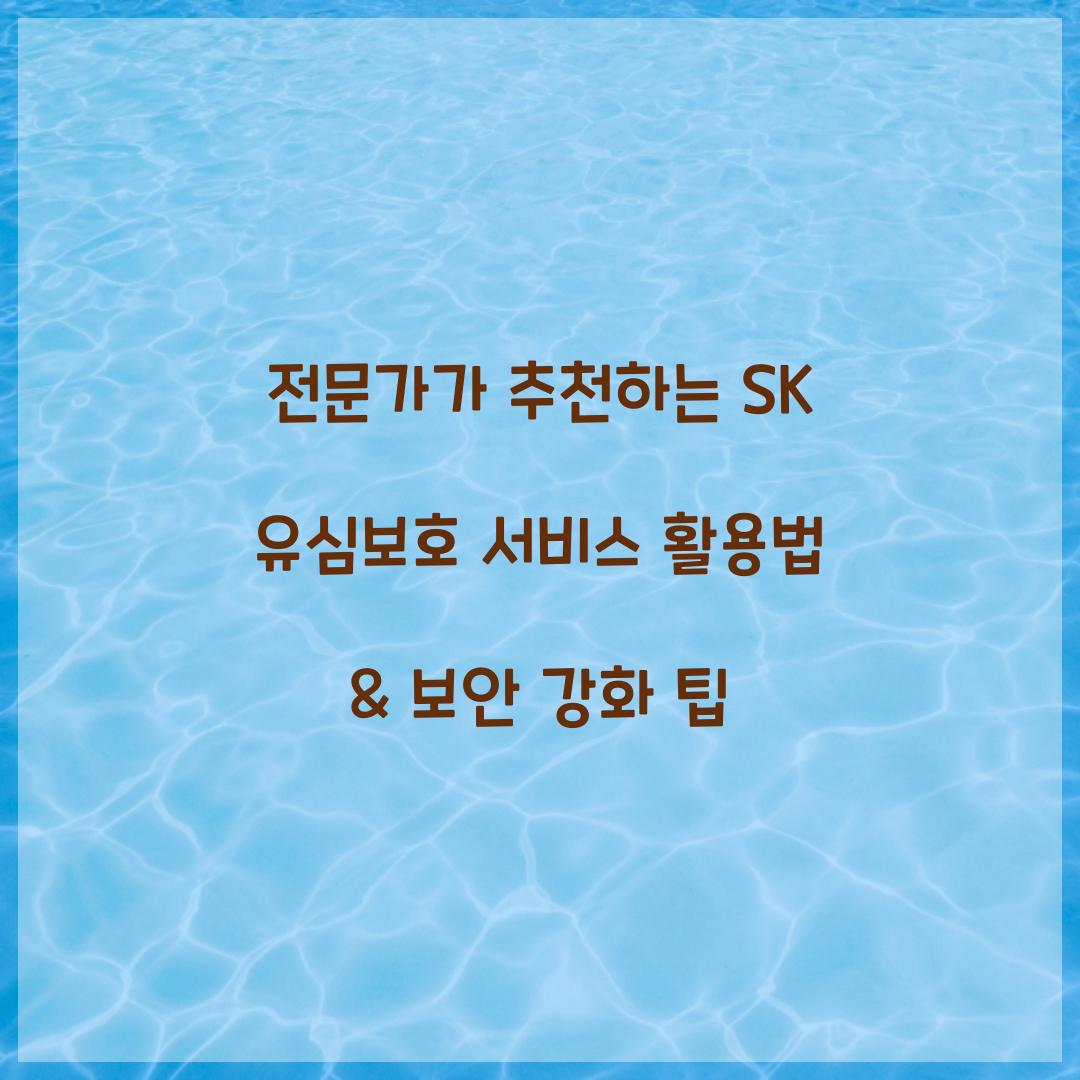 전문가가 추천하는 SK 유심보호 서비스 활용법