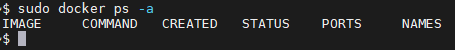 docker ps