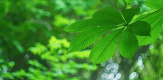 하루를 비우는 용기, 쉼의 기술