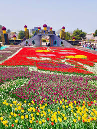 안면도꽃박람회