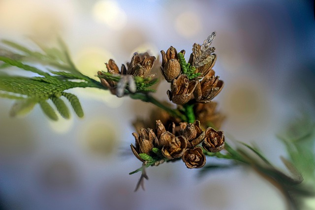 헬스장 등록 전에 꼭 따져야 할 비용