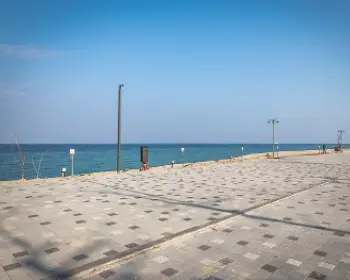 연곡 솔향기 캠핑장 e 구역_3
