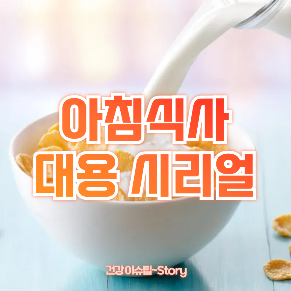 아침식사 대용 시리얼