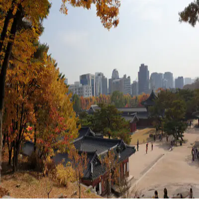 창덕궁-가을단풍가볼만한곳