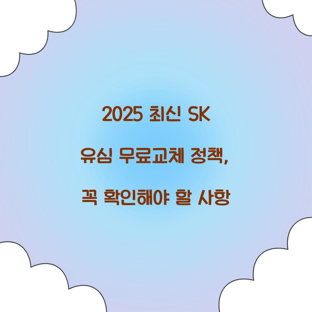 2025 최신 SK 유심 무료교체 정책