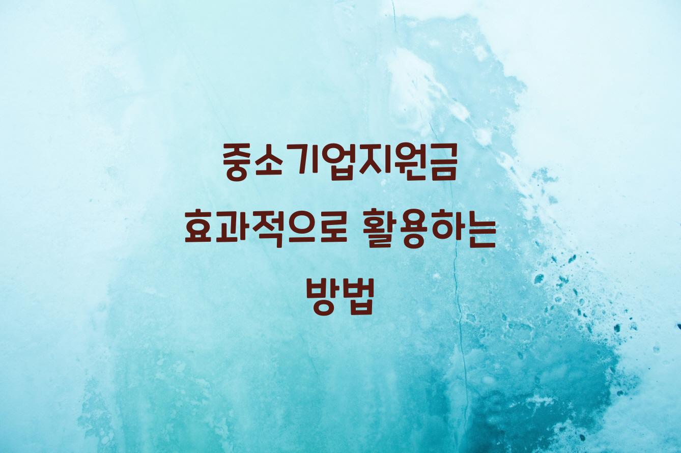 중소기업지원금