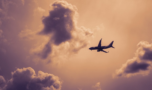 김포-공항-시간표