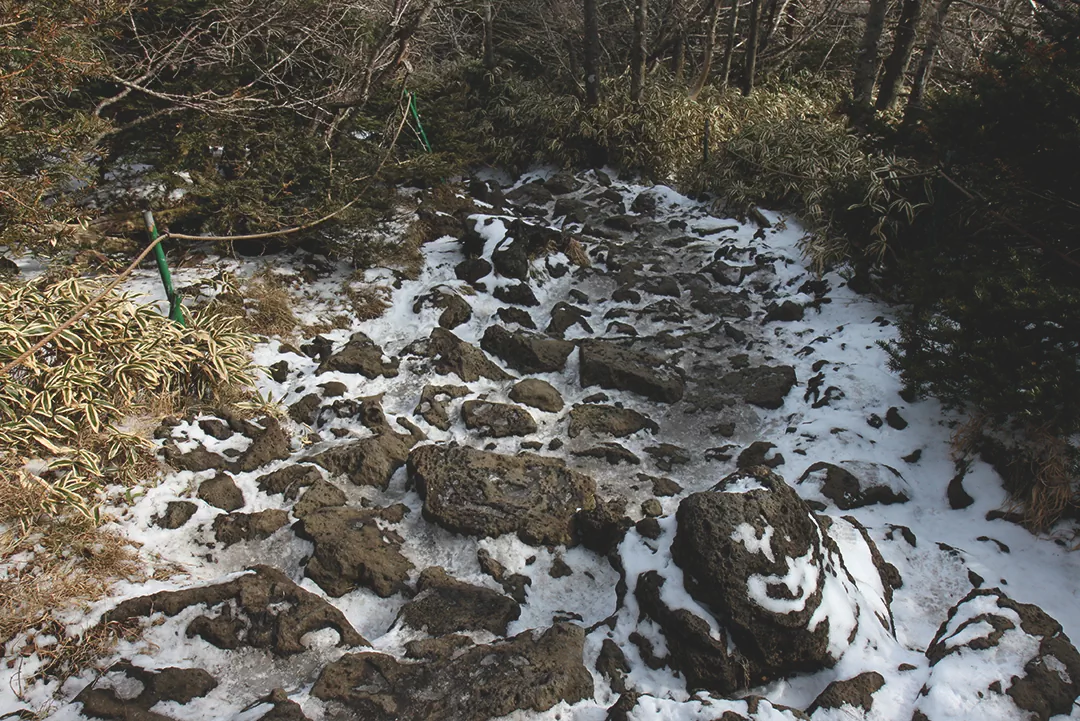 한라산 겨울 등반 준비물 복장 완벽정리: 성판악 관음사 코스별 가이드