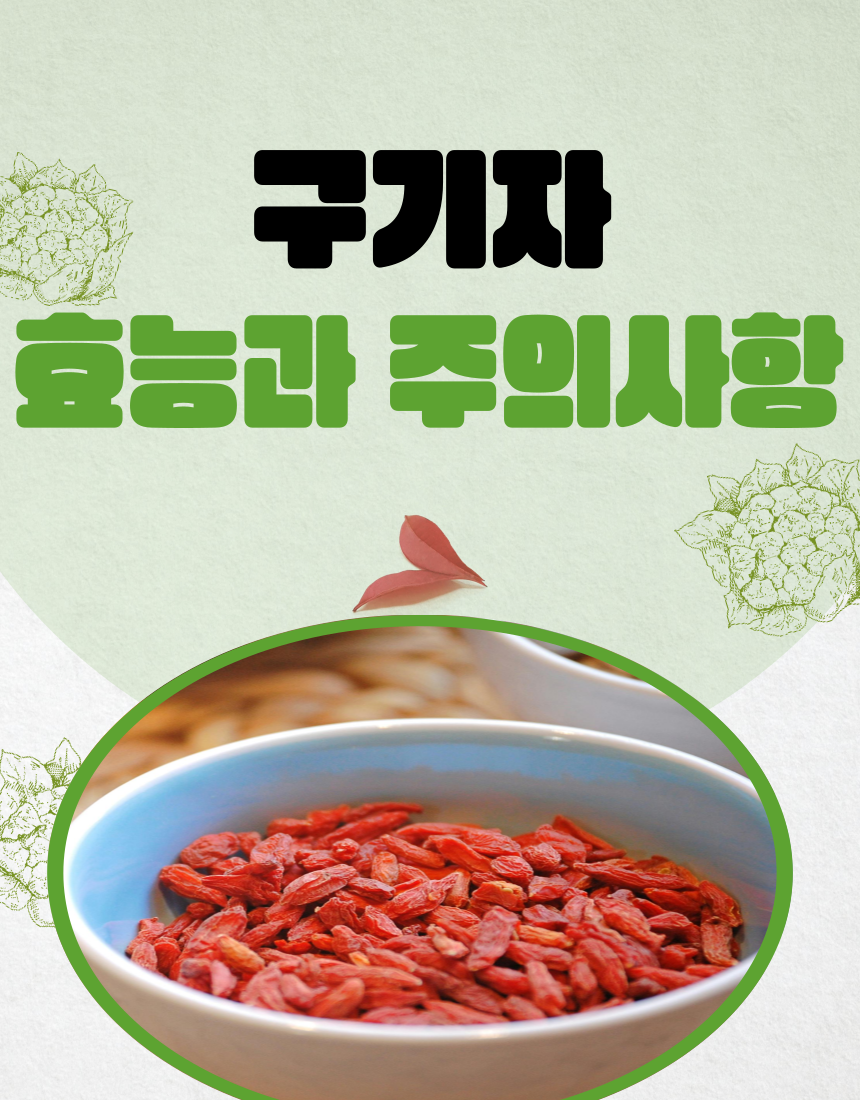 구기자의 효능과 섭취 시 주의사항