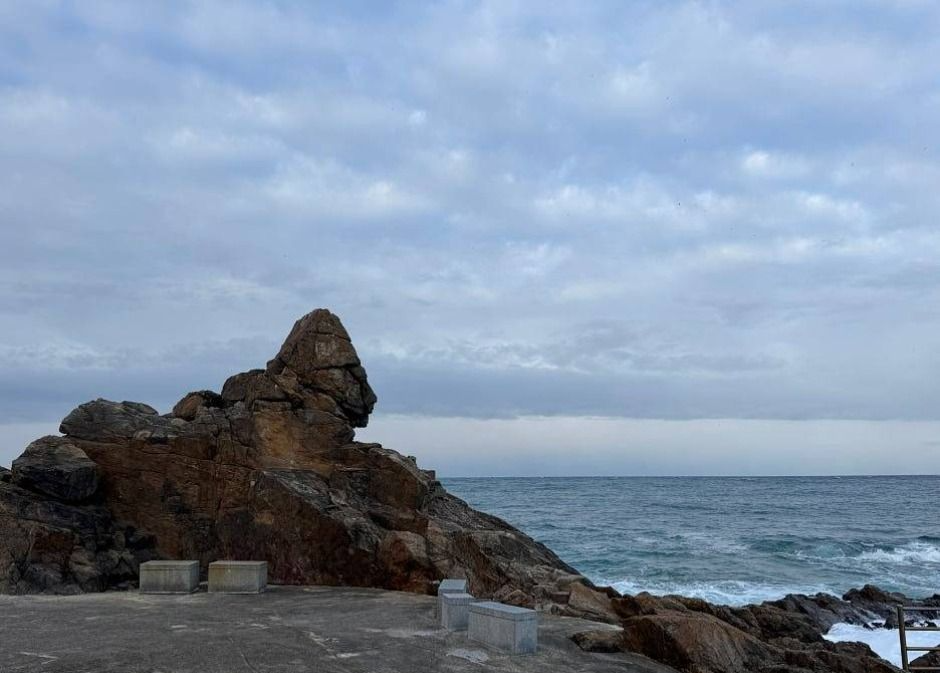 동해안 반려견 겨울 나들이 명소, 강아지와 함께 걷기 좋은 바다 산책 코스