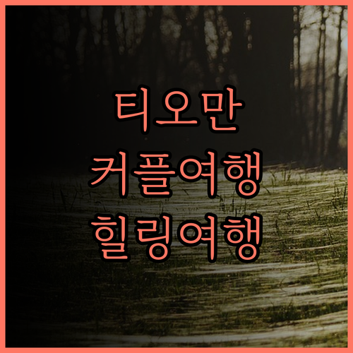 더 바랏 티오만 비치 리조트 최고의