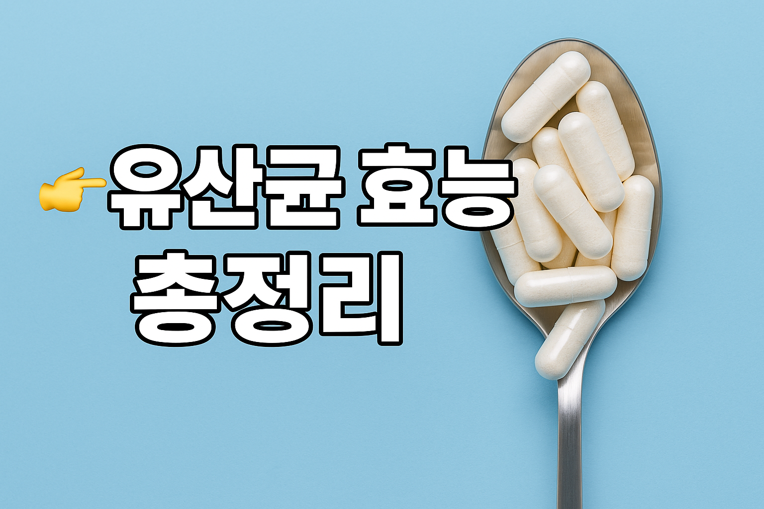 유산균 효능 총정리