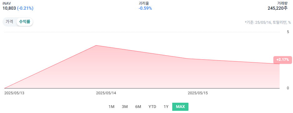 RISE 테슬라고정테크100 ETF 수익율
