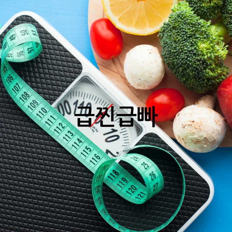 급찐급빠레몬수다이어트