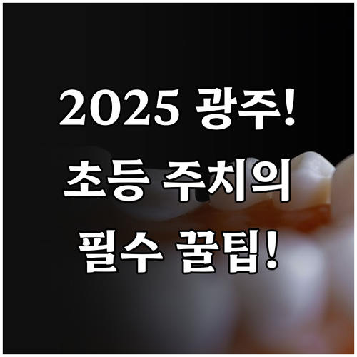 2025 광주 초등학생 치과주치의 선..