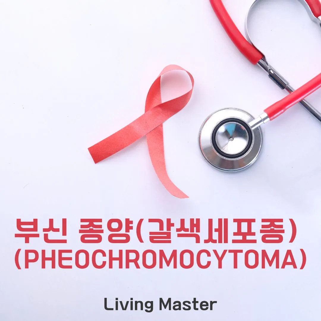 부신 종양(갈색세포종)